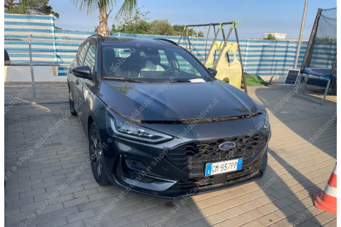 2023 Ford Focus, Benzinas / Elektra